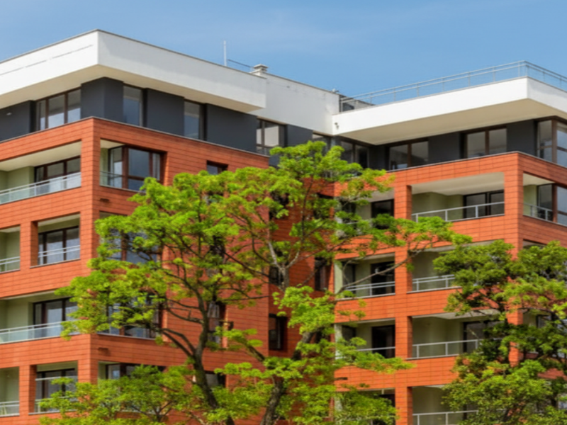 Design sem nome (22).png